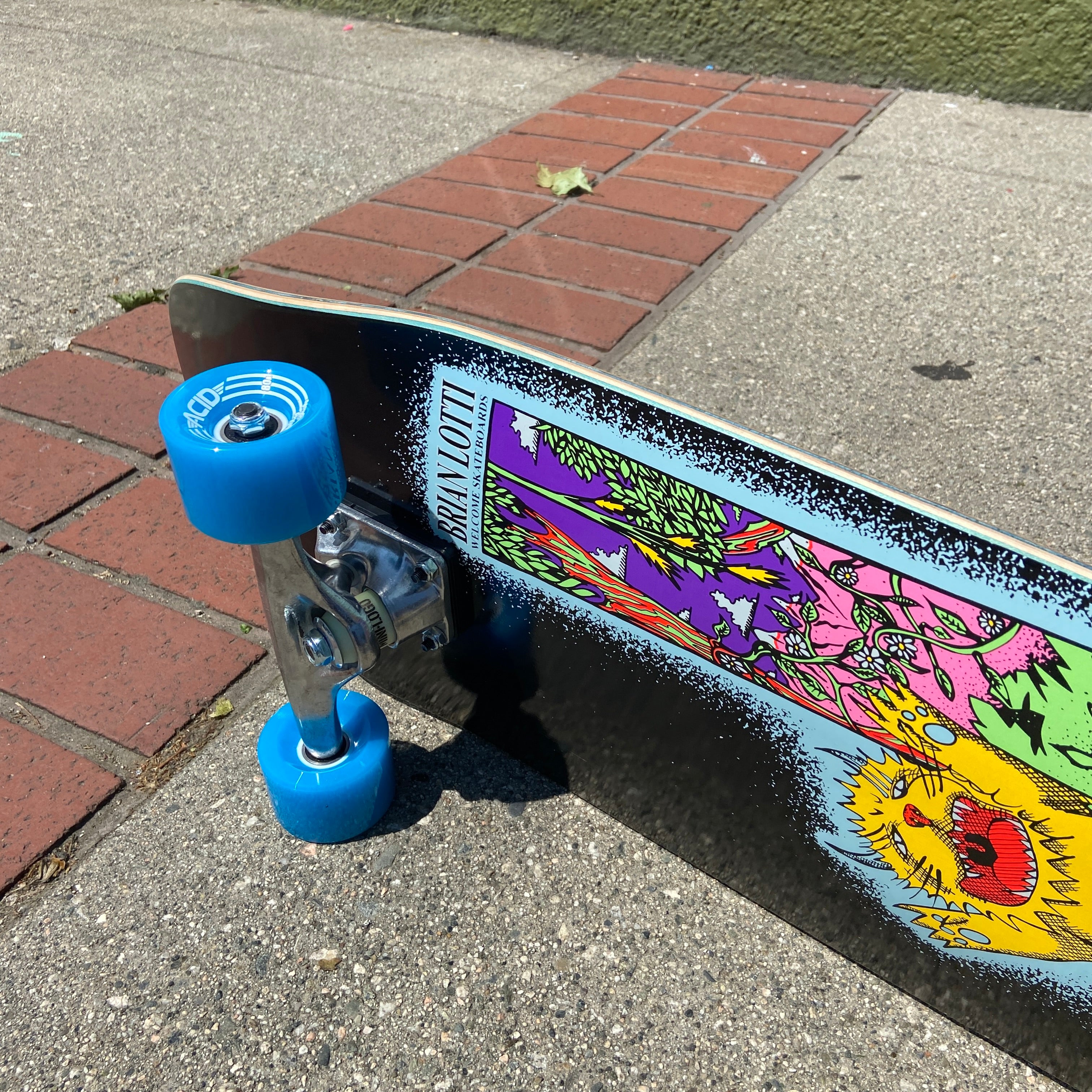 WELCOME SKATEBOARDS デッキ BRIAN LOTTIモデル Welcome - Brian Lotti Wild Thing - 9.6 Gaia Deck – CND Snow and Skate