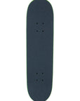 PUSH COMPLETE LIZARD BIG (7.5")
