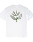 MAGENTA BOTANIC TEE WHITE
