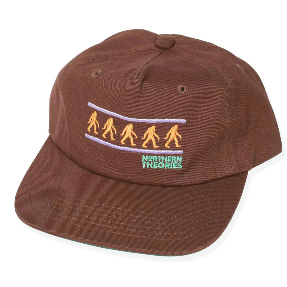 THEORIES NORTHERN THEORIES EMBROIDERED SNAPBACK HAT