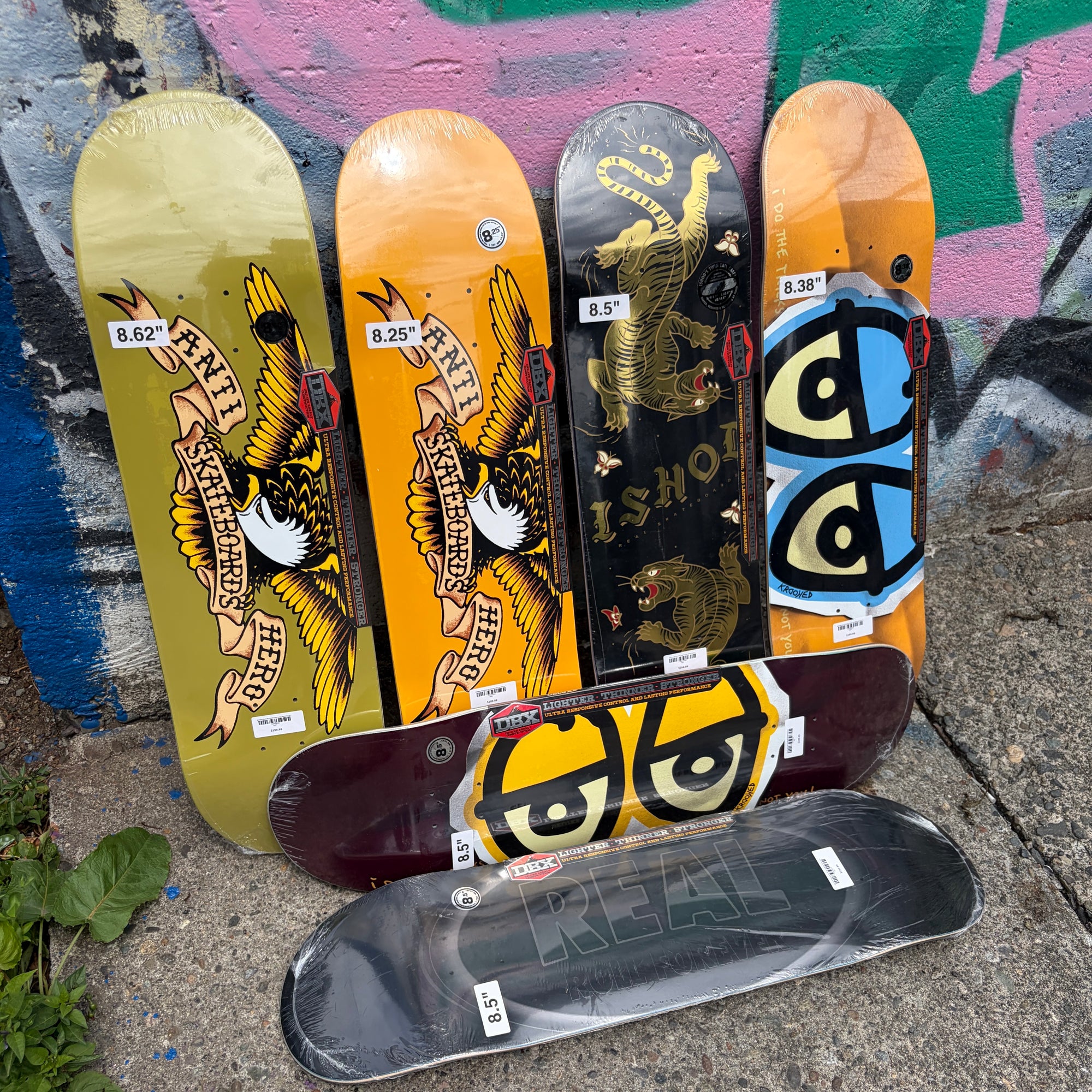 Collection Image