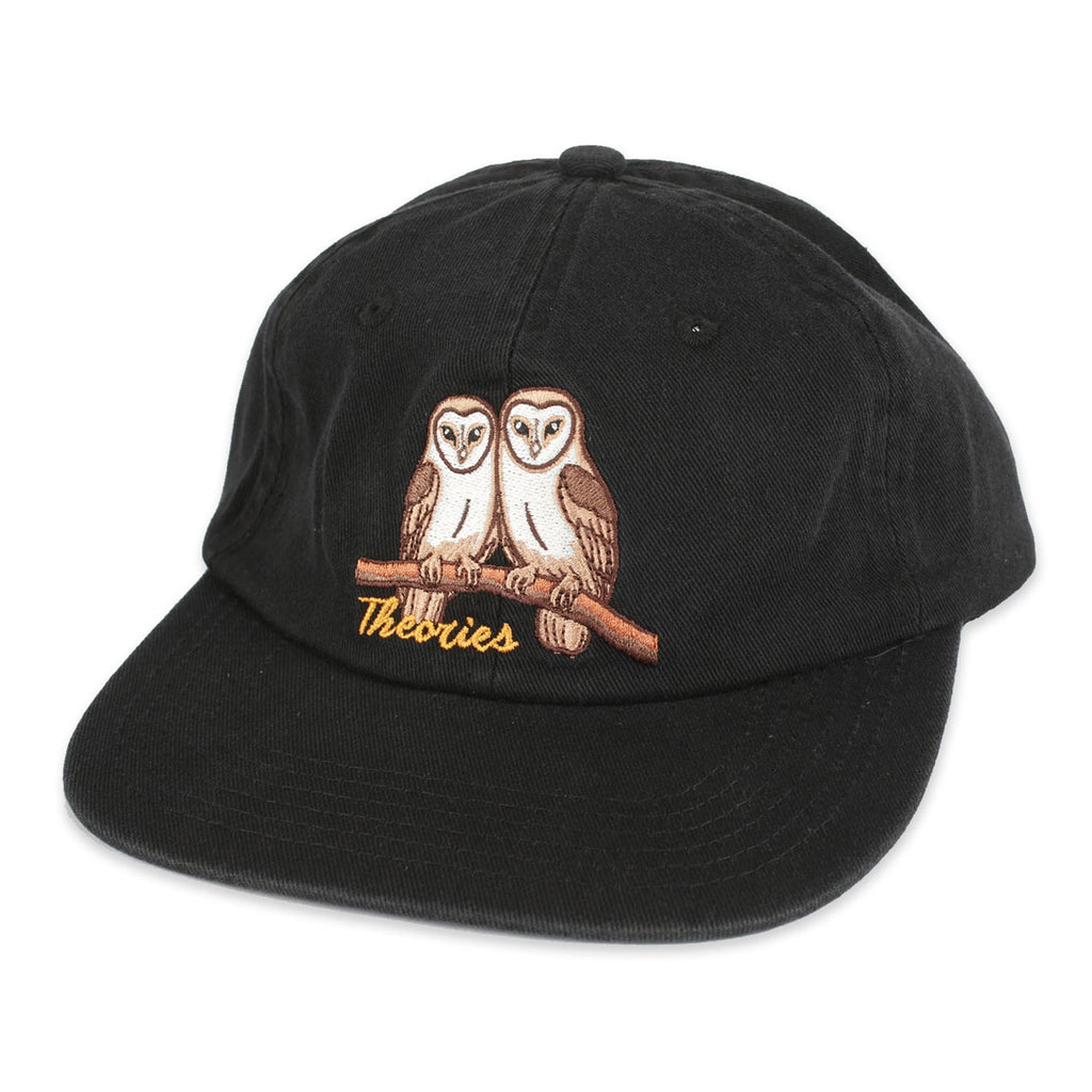 THEORIES NOT WHAT THEY SEEM STRAPBACK HAT BLACK