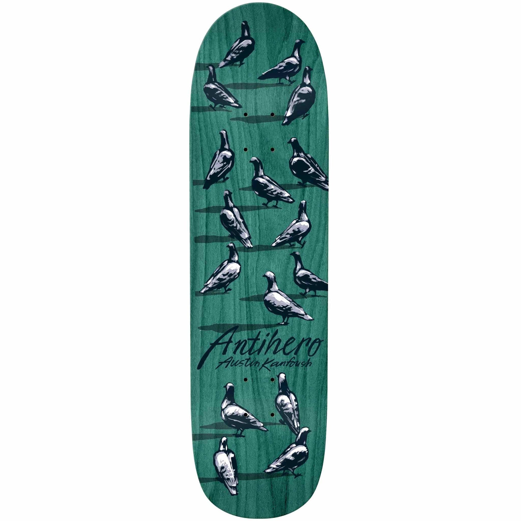 ANTIHERO DECK KANFOUSH DAWN OF THE PIGEON YINZER (8.55") - The Drive Skateboard Shop