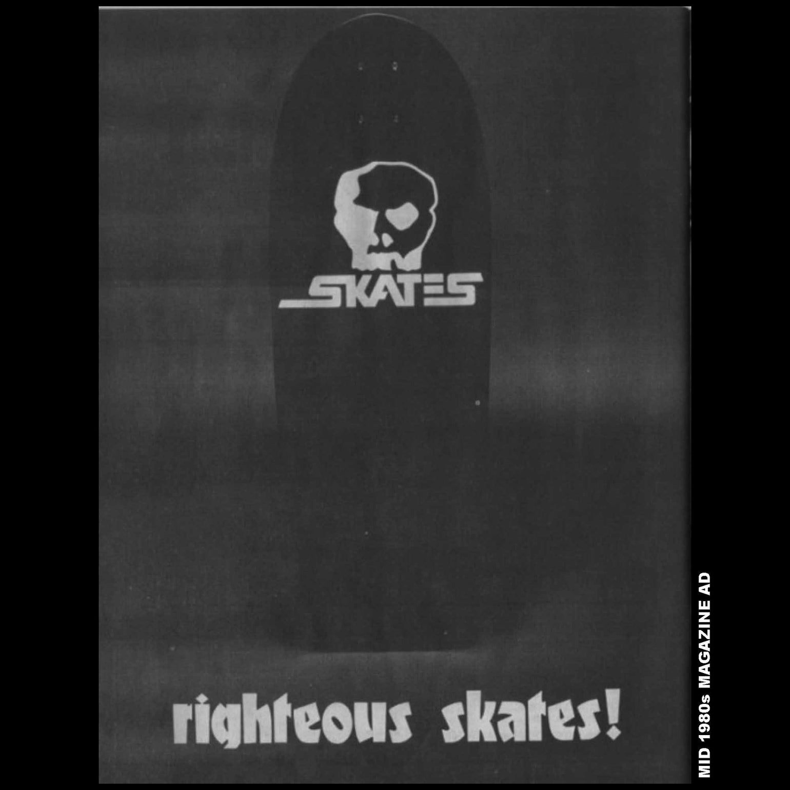 SKULL SKATES DECK - HORSE REISSUE (10.5")