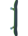 PUSH COMPLETE LIZARD BIG (7.5")