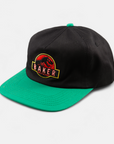 BAKER THE STONED AGE SNAPBACK 