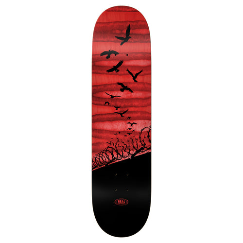 REAL DECK - SET FREE SPECRUM  (8.06")