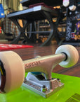 TOY MACHINE TURTLE PREMIUM COMPLETE (7.75") - The Drive Skateshop