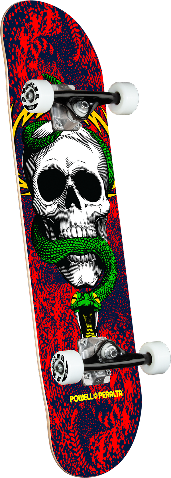 POWELL PERALTA SKULL &amp; SNAKE COMPLETE RED NAVY (7.75&quot;)
