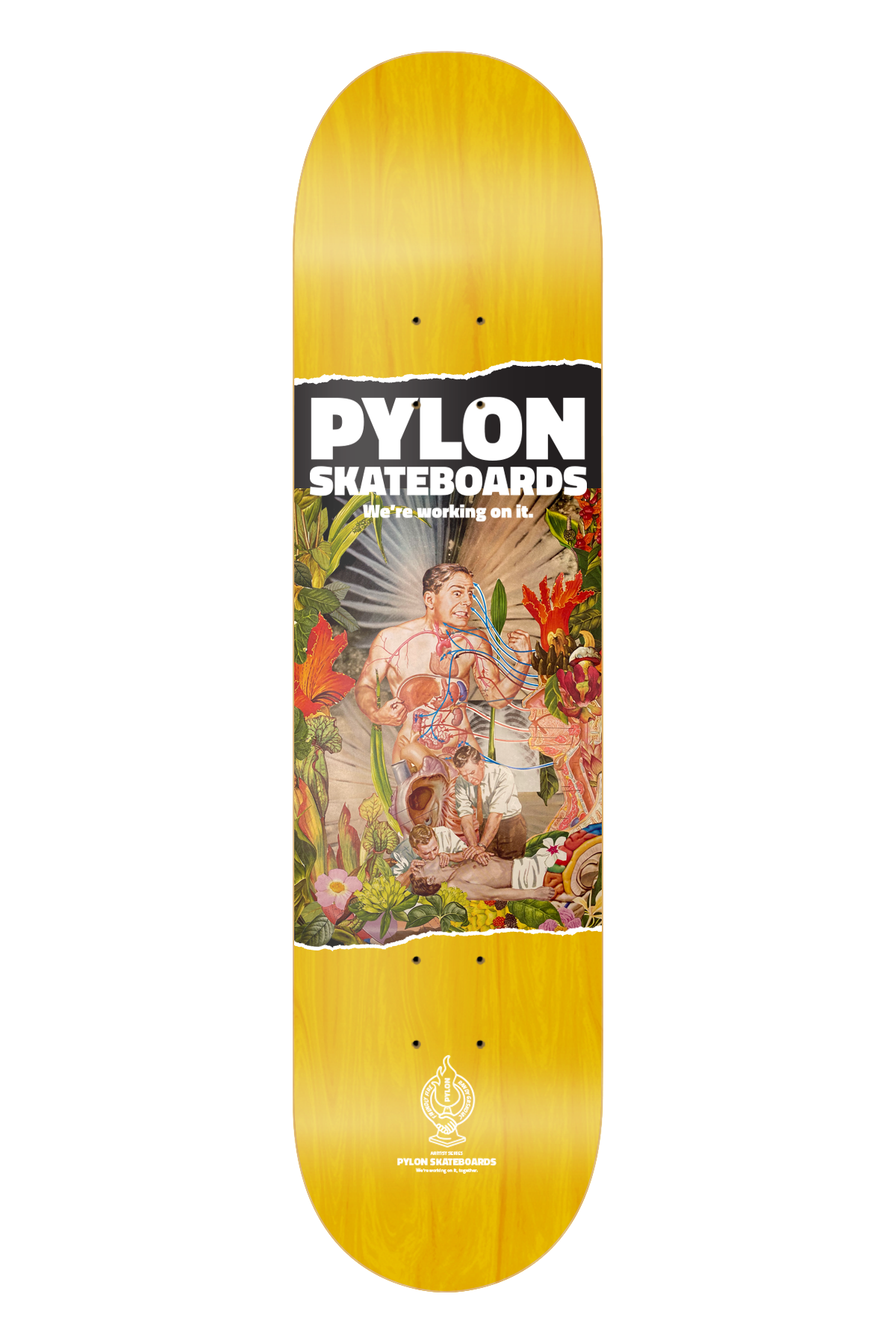 PYLON DECK - HANG IN THERE (8.625")