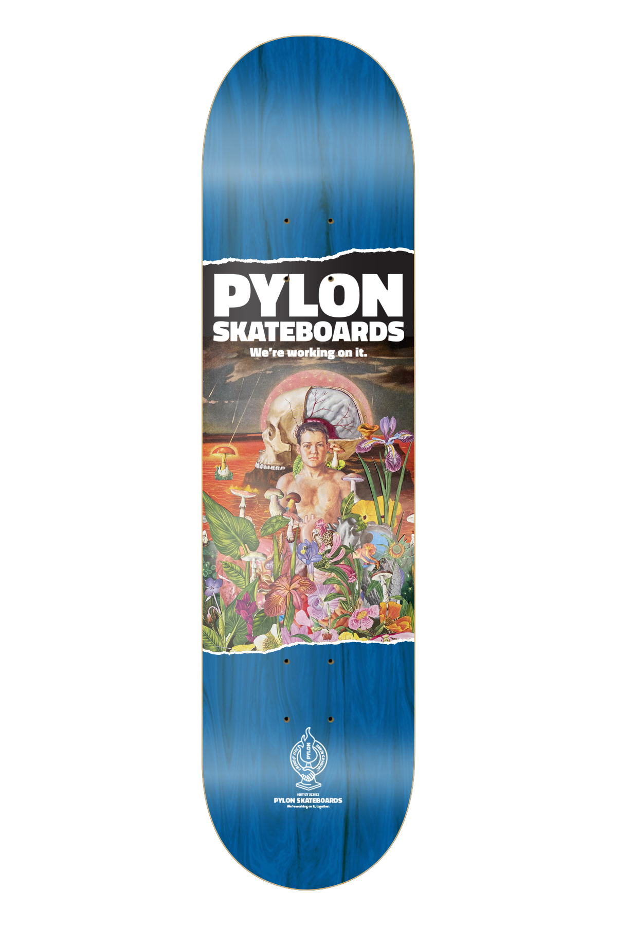 PYLON DECK - YOUNG BLOOD (8.5")