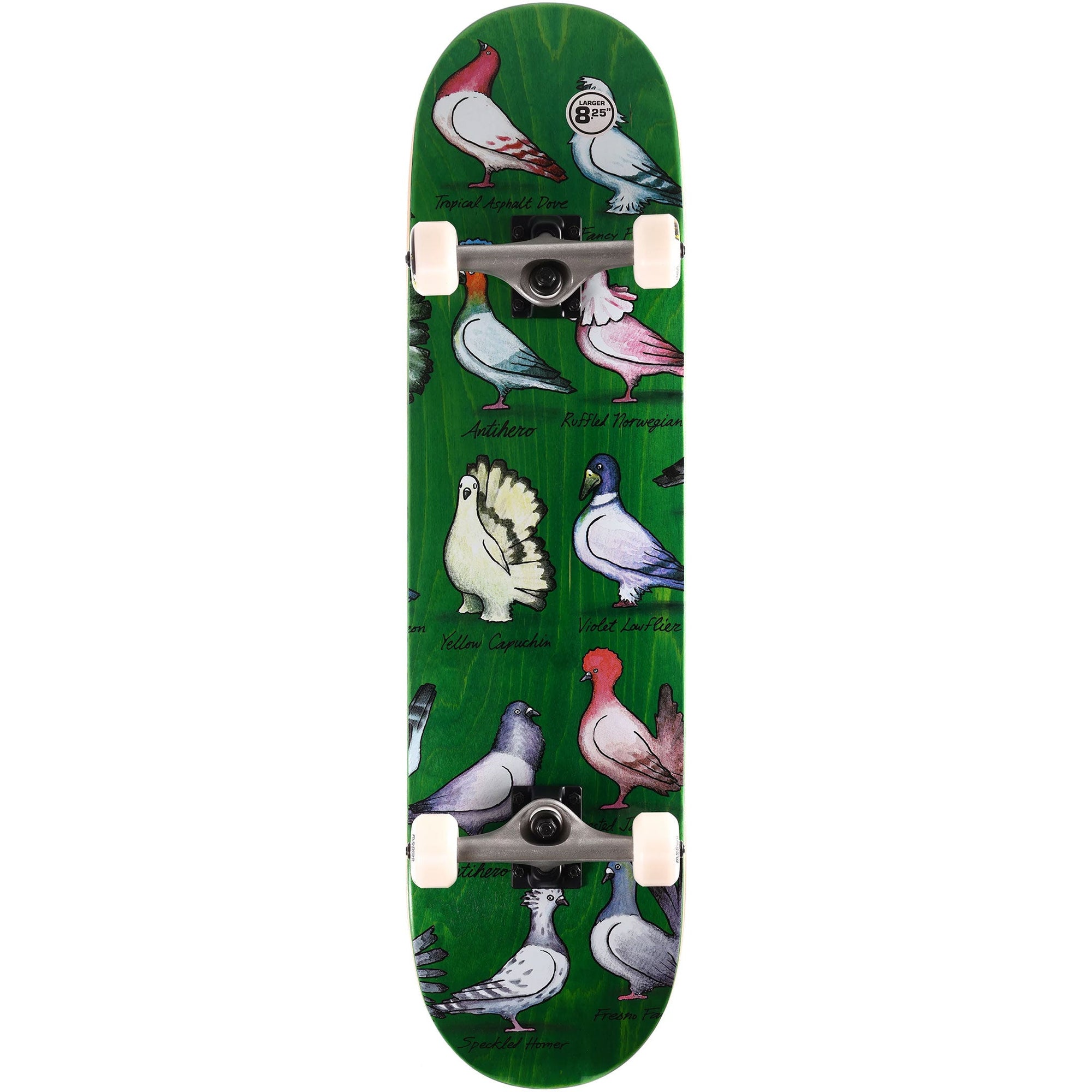 ANTIHERO COMPLETE PIGEON SHOW (8.25")